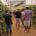 Agricultores de Almería y Granada se acercan al pepino Nairobi, de Semillas Fitó