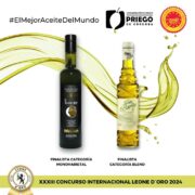 Concurso Internacional