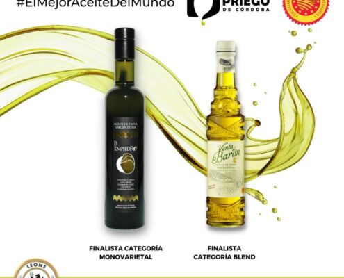 Concurso Internacional