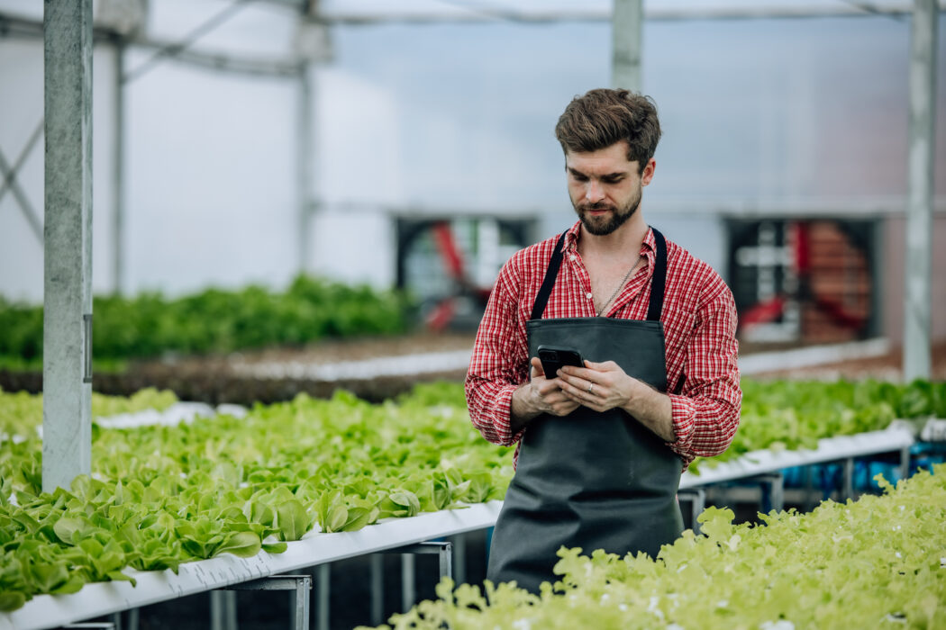 empresas agrícolas