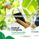 Biofruit Congress