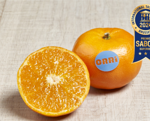 mandarina ORRi