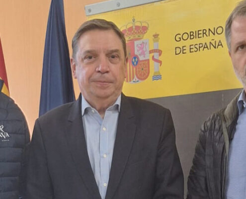 ayudas del Gobierno