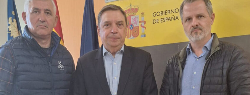 ayudas del Gobierno