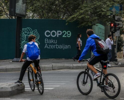 COP29