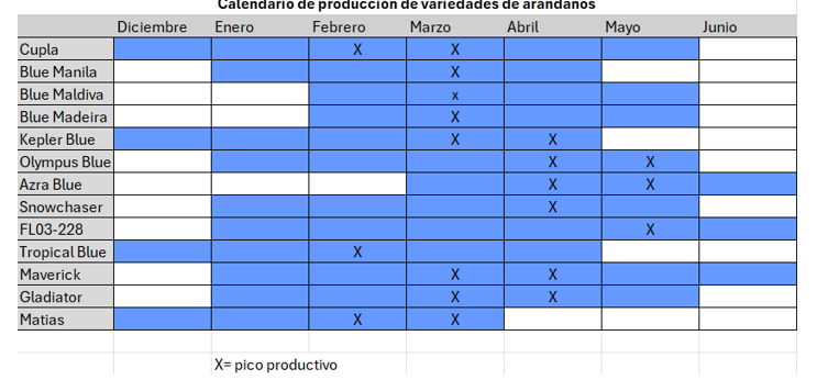 variedades de arándanos