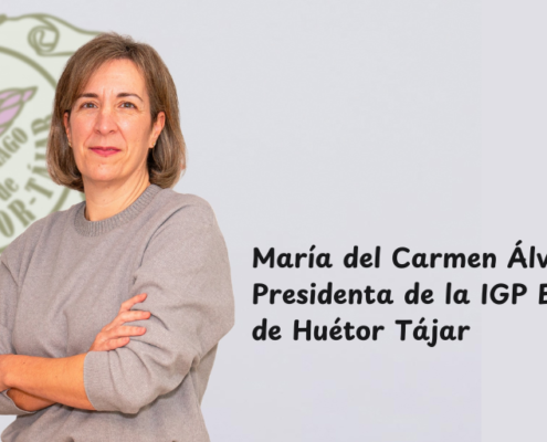 María del Carmen Álvarez Toro