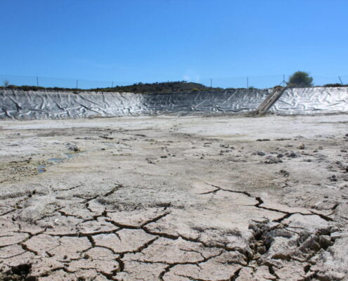 en el campo valenciano