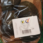 Aguacates CV