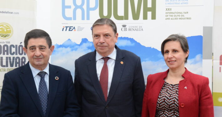 sector oleícola