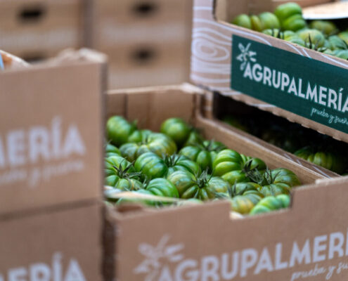 El tomate Raf de Agrupalmería