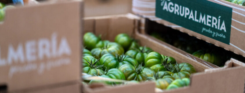 El tomate Raf de Agrupalmería