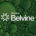 BELVINE®: la alternativa ecológica para la protección de la vid