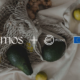 desperdicio alimentario