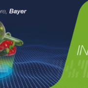 Bayer
