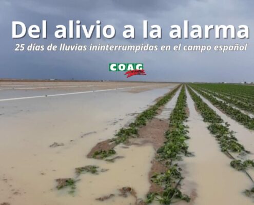 lluvias ininterrumpidas en el campo español