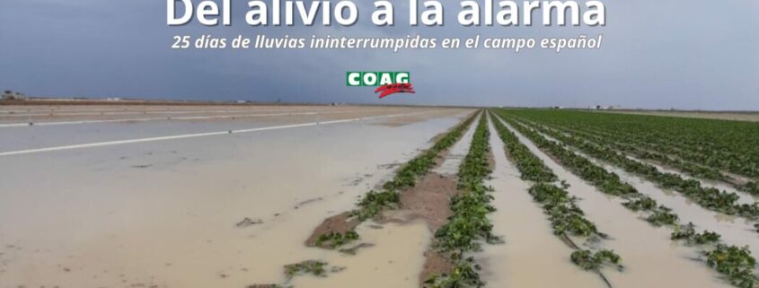 lluvias ininterrumpidas en el campo español