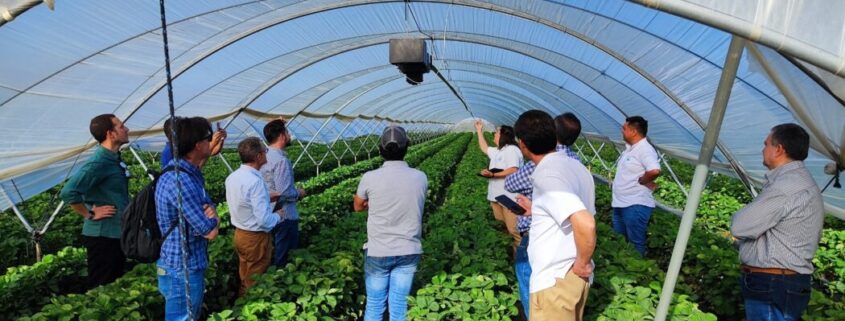Demofarm
