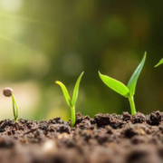 Infoagro Exhibition 2025