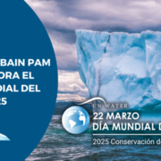 Saint-Gobain PAM