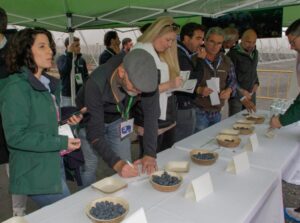 Asistentes su Meet&Greet Field Day comiendo frutos rojos