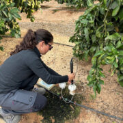 del agua en la agricultura