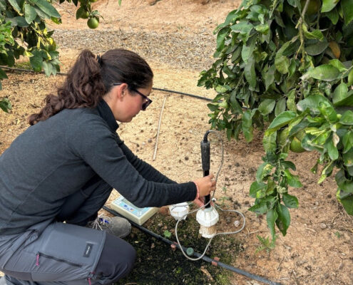 del agua en la agricultura