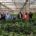 Murcia busca ser la 'Mejor Región Orgánica' en EU Organic Awards 2025
