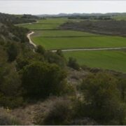 ayudas