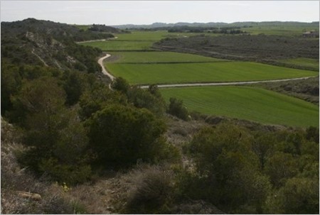 ayudas