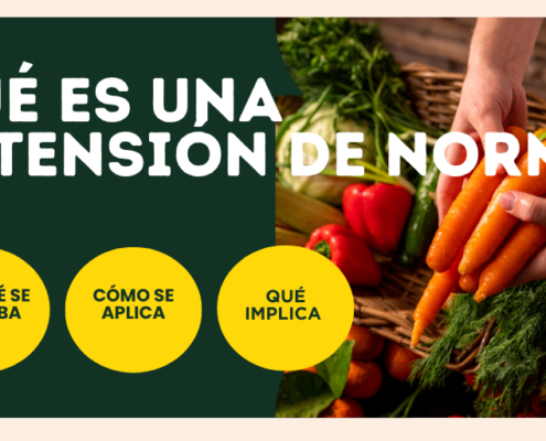 Extensión de Norma