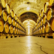 Vino