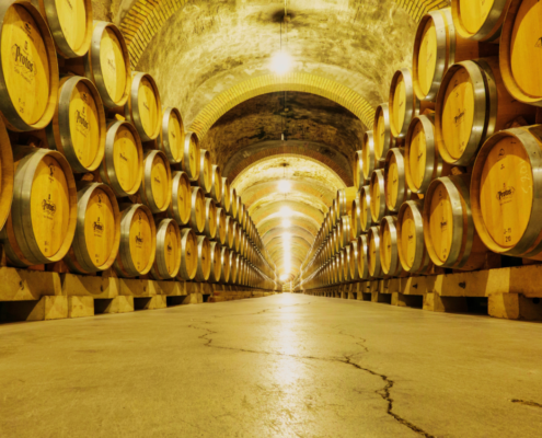 Vino
