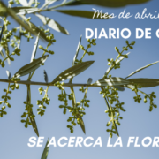 Cazorla