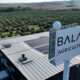 BALAM Agriculture
