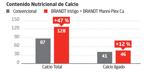 BRANDT InVigo®